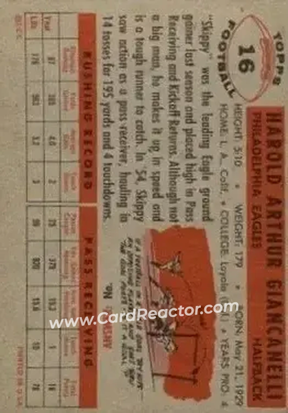 Back of Harold Giancanelli