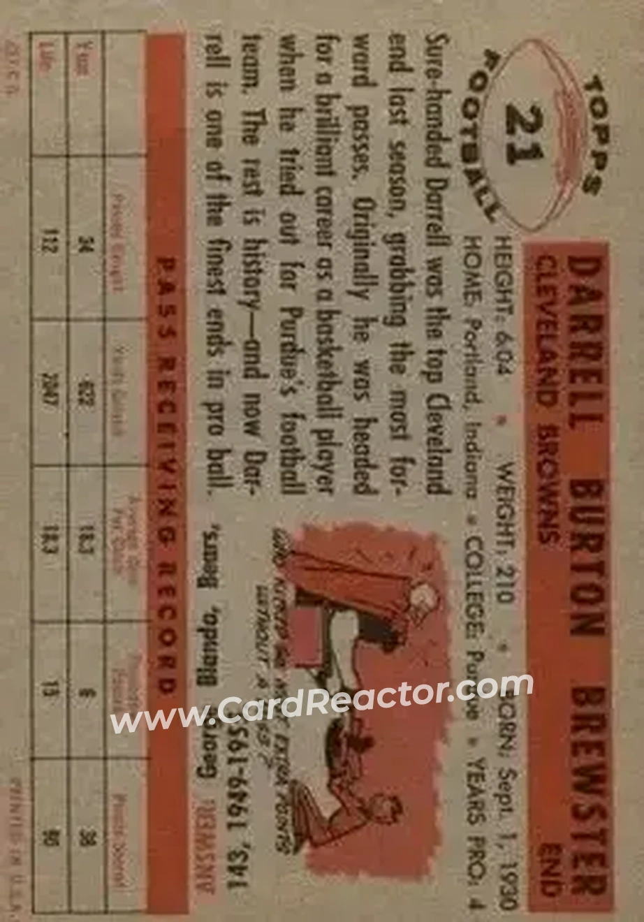 Back of Pete Brewster
