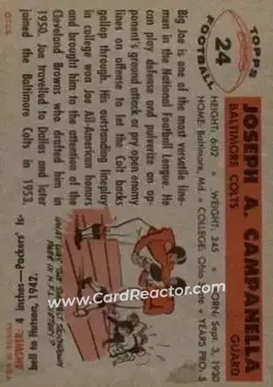 Back of Joe Campanella