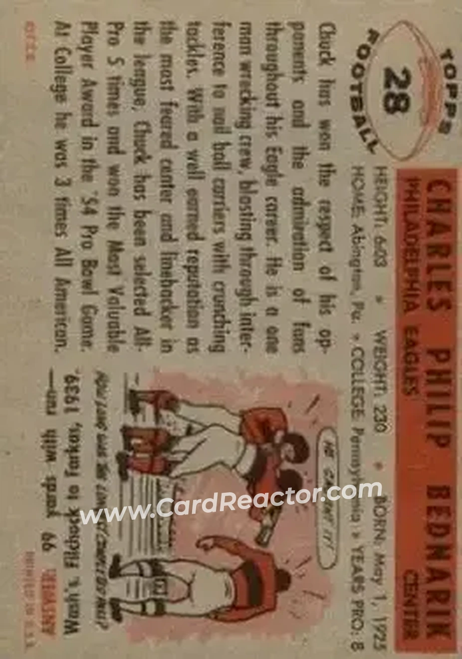 Back of Chuck Bednarik