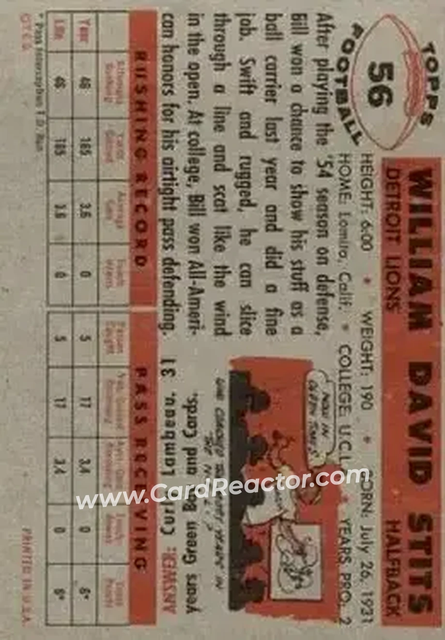 Back of Bill Stits