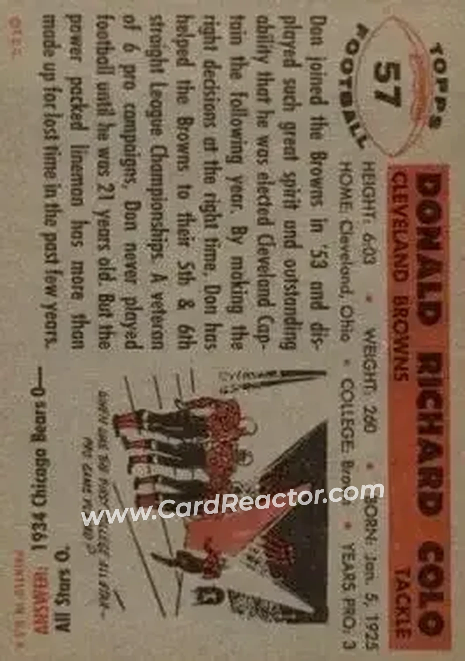 Back of Don Colo