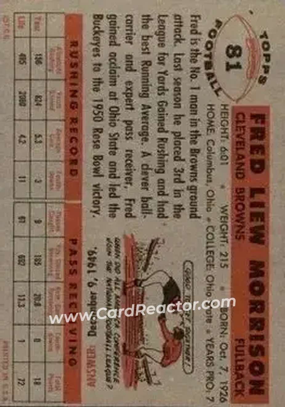 Back of Fred Morrison