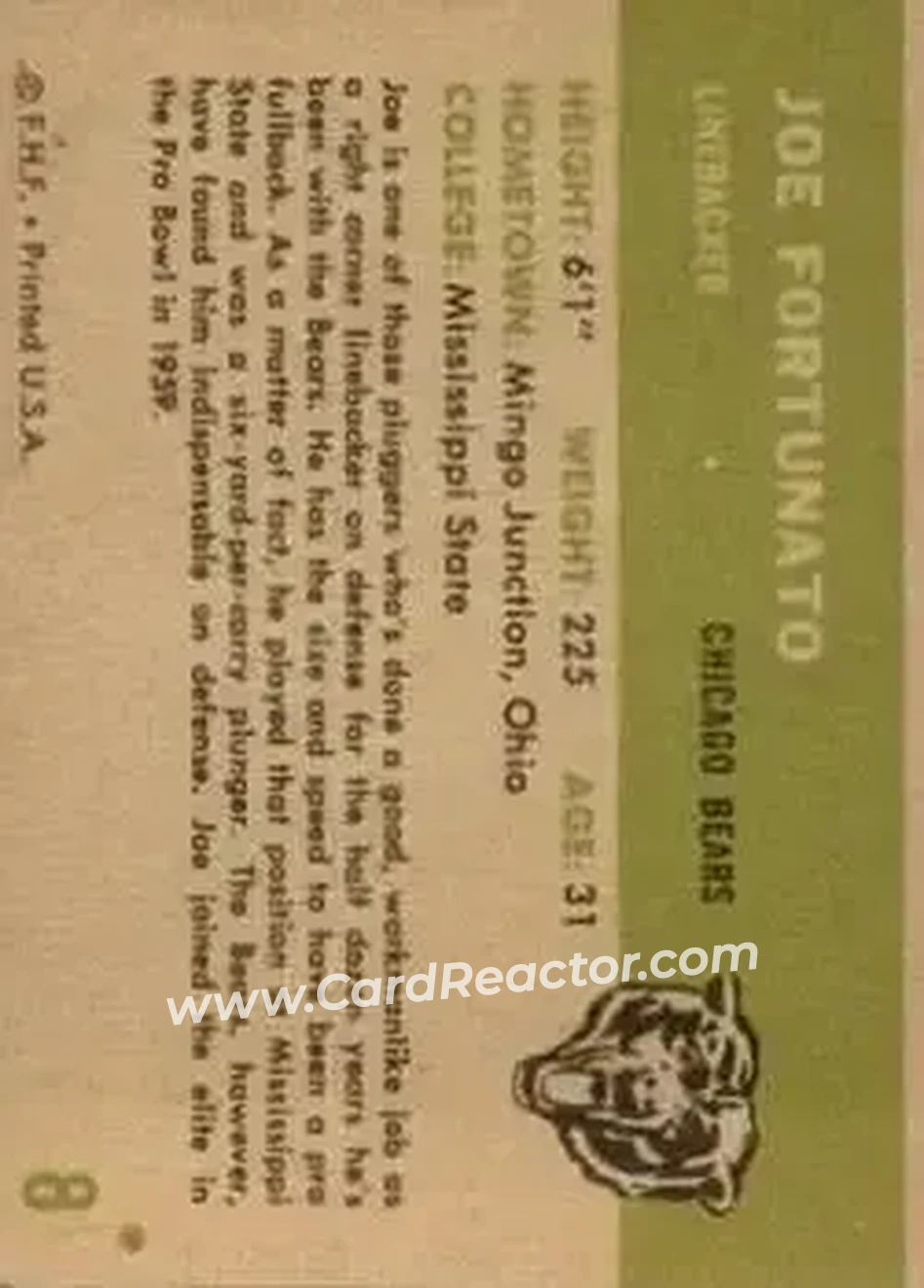 Back of Joe Fortunato