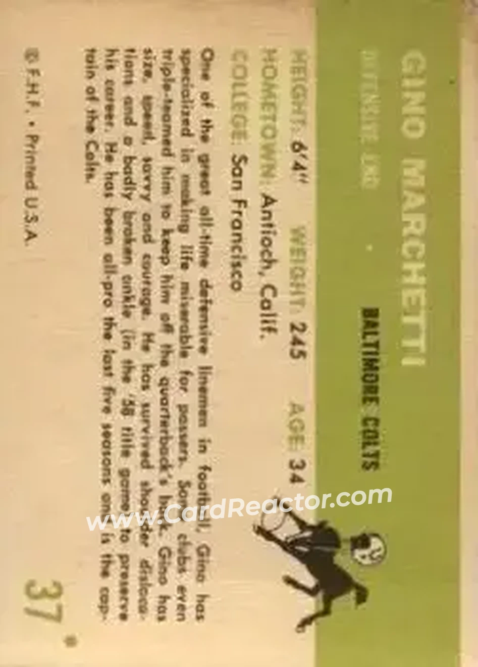 Back of Gino Marchetti