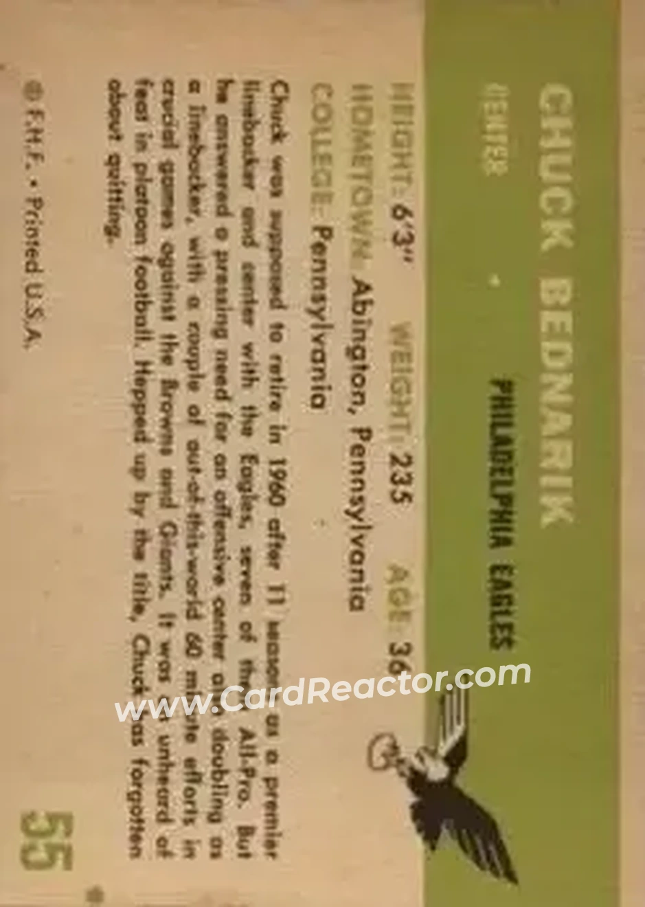 Back of Chuck Bednarik