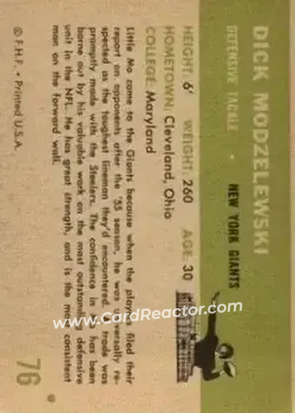 Back of Dick Modzelewski