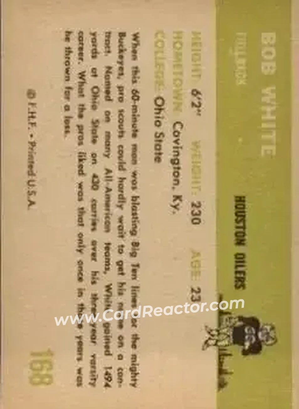 Back of Bob White