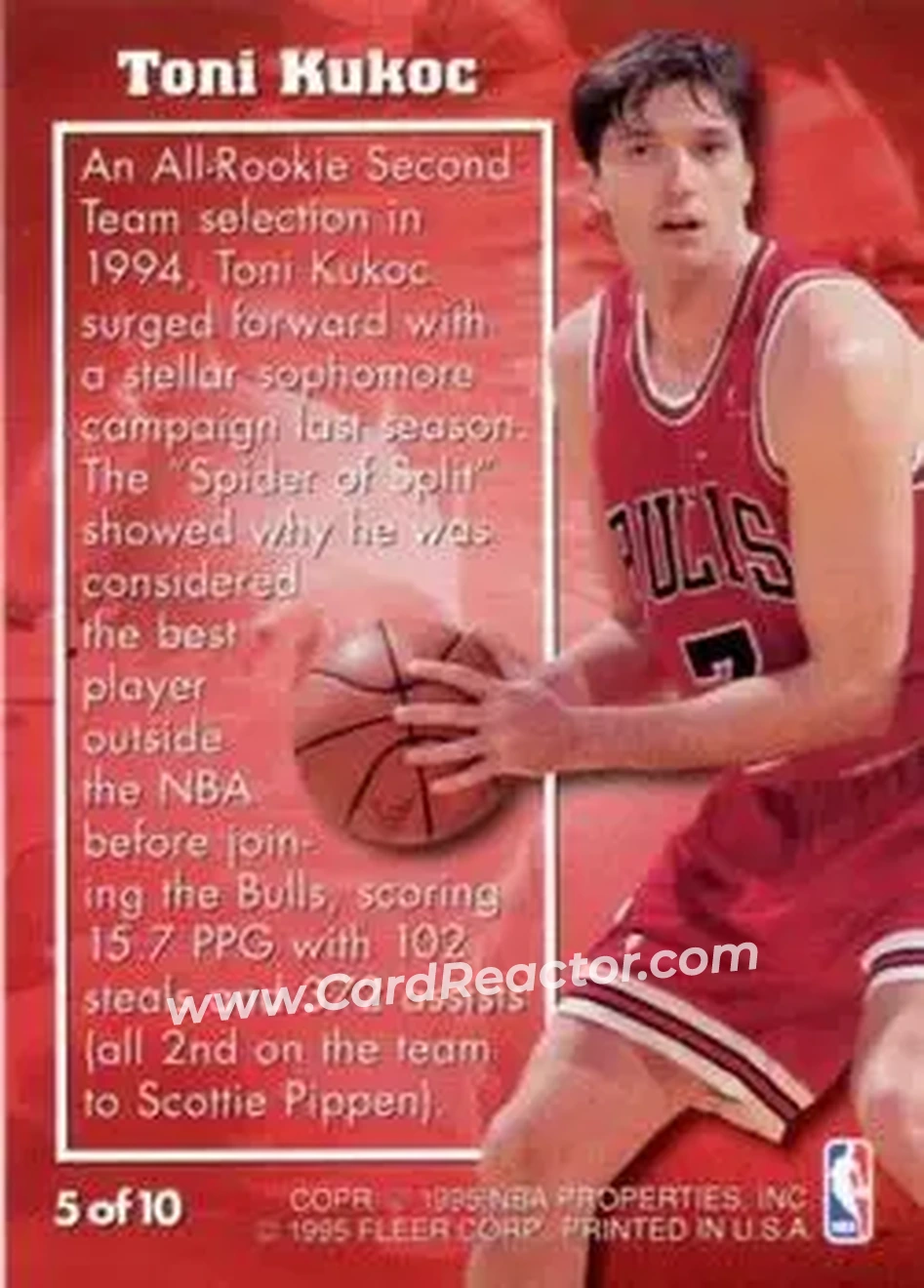 Back of Toni Kukoc