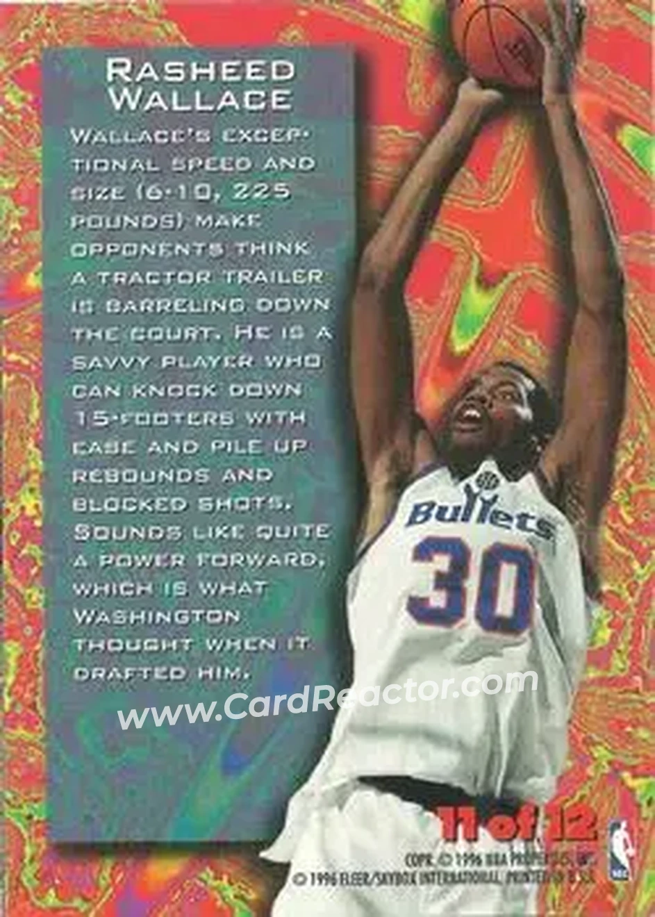 Back of Rasheed Wallace
