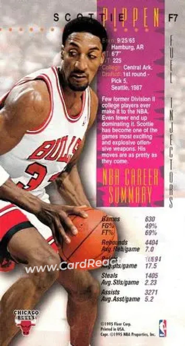 Back of Scottie Pippen