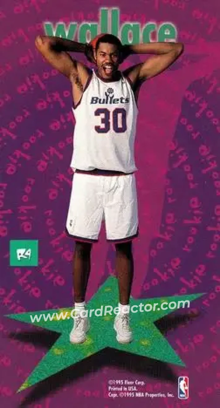 Back of Rasheed Wallace