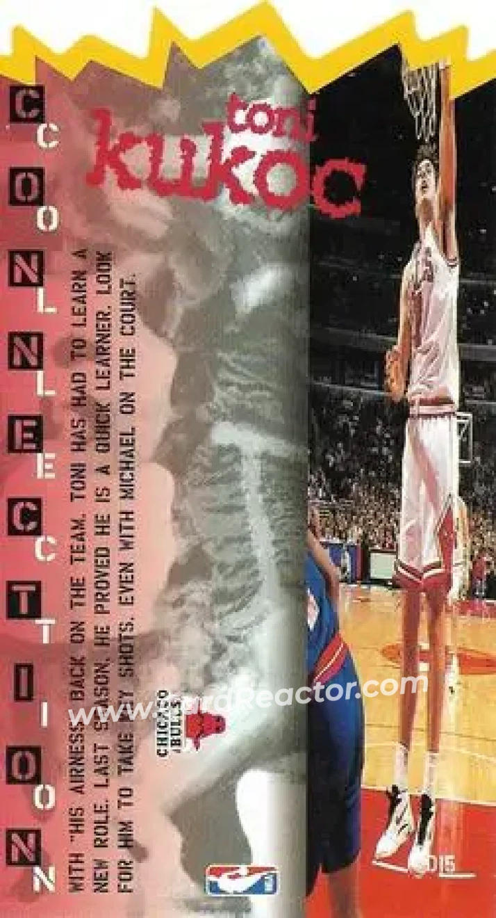 Back of Toni Kukoc