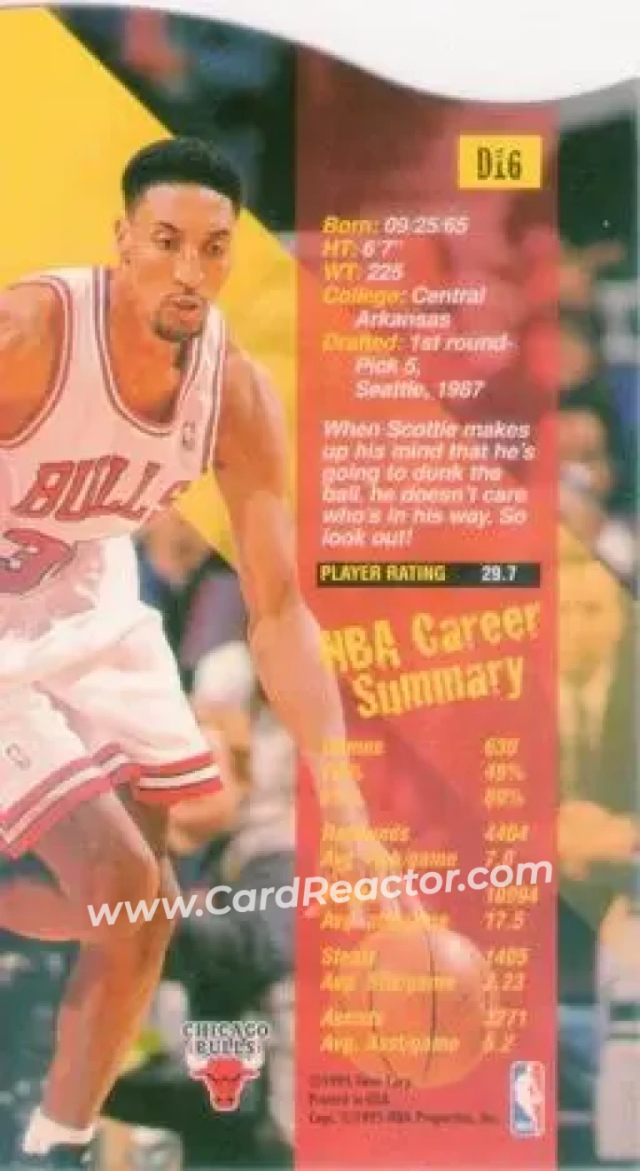 Back of Scottie Pippen