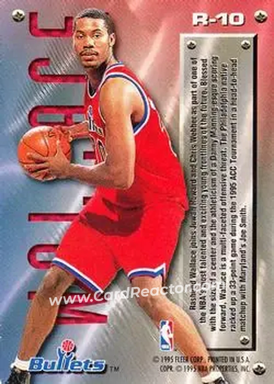 Back of Rasheed Wallace