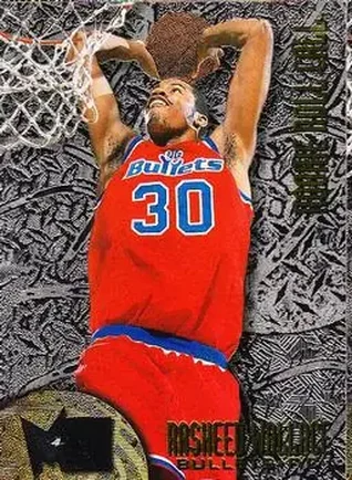 1995-96 Metal #R-10 Rookie Roll Call Silver Spotlight Rasheed Wallace