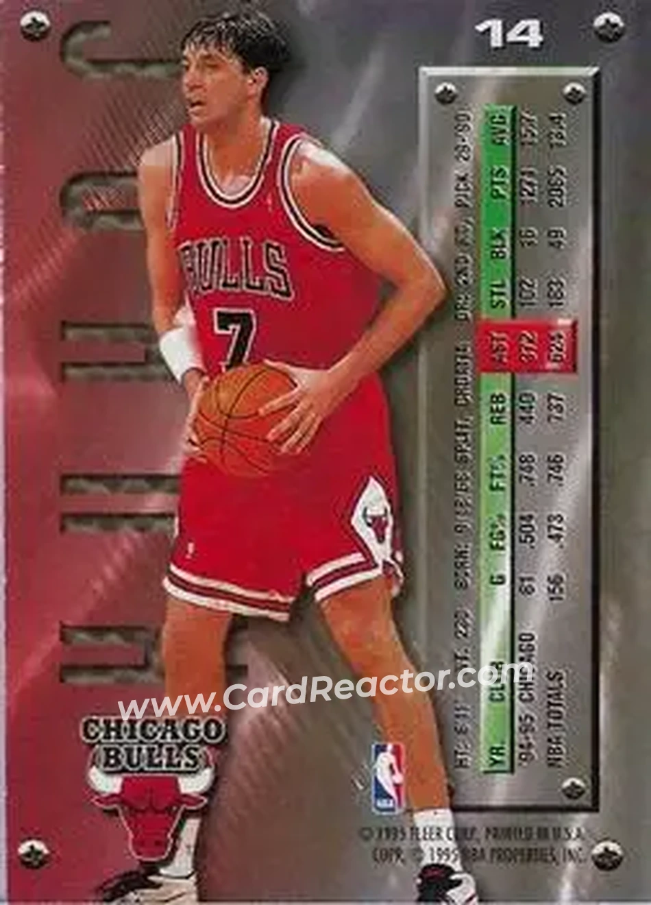 Back of Toni Kukoc
