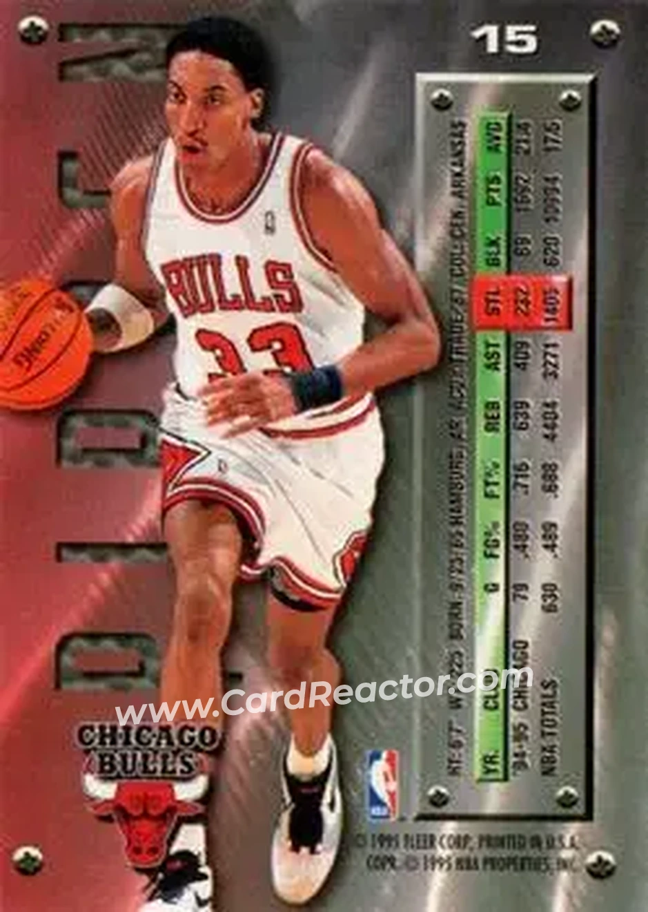 Back of Scottie Pippen