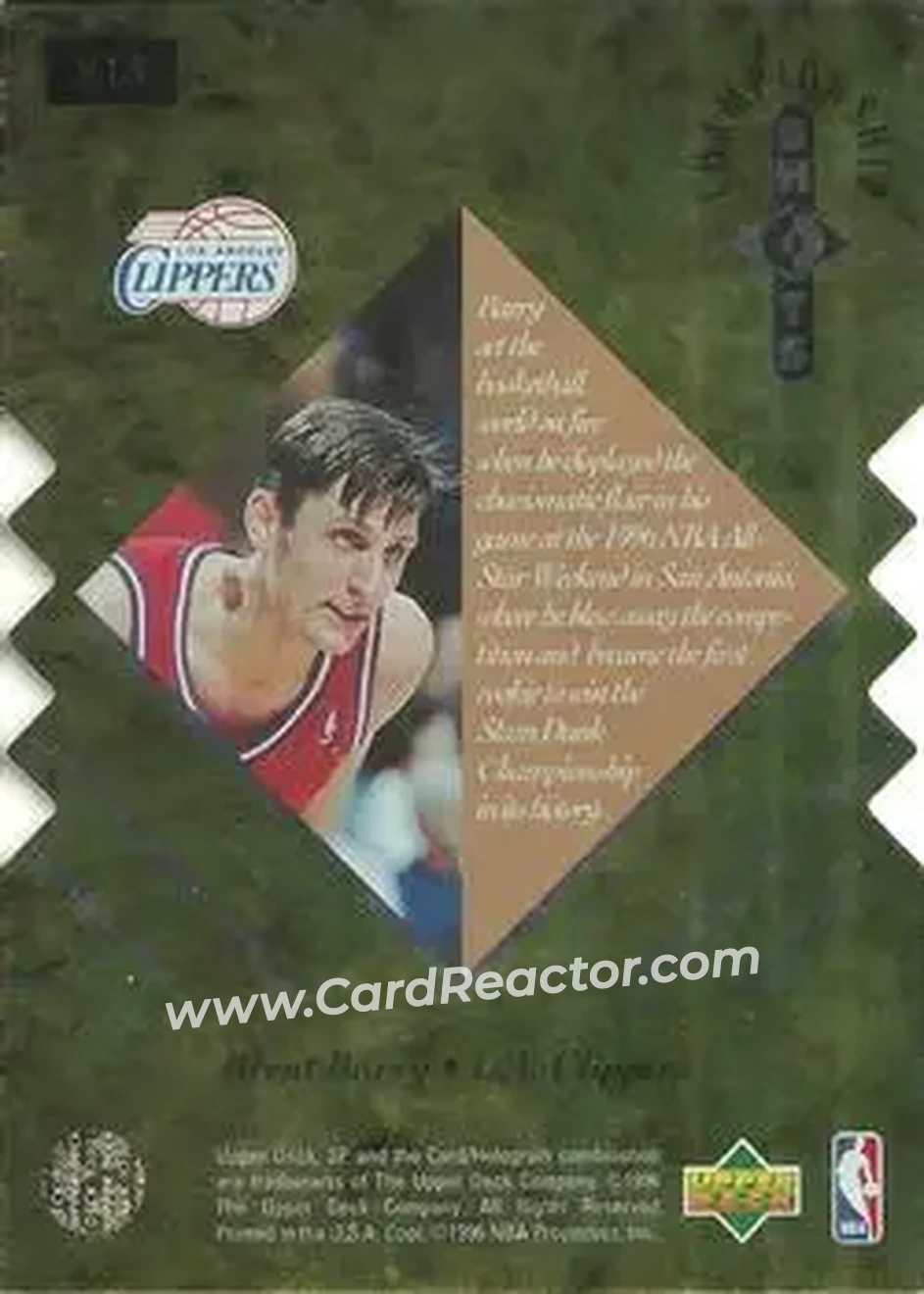 Back of Brent Barry