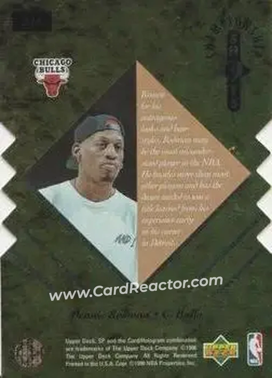 Back of Dennis Rodman