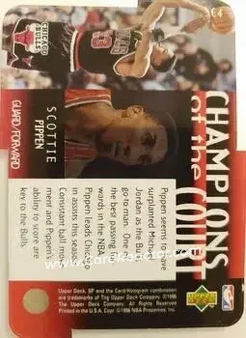 Back of Scottie Pippen