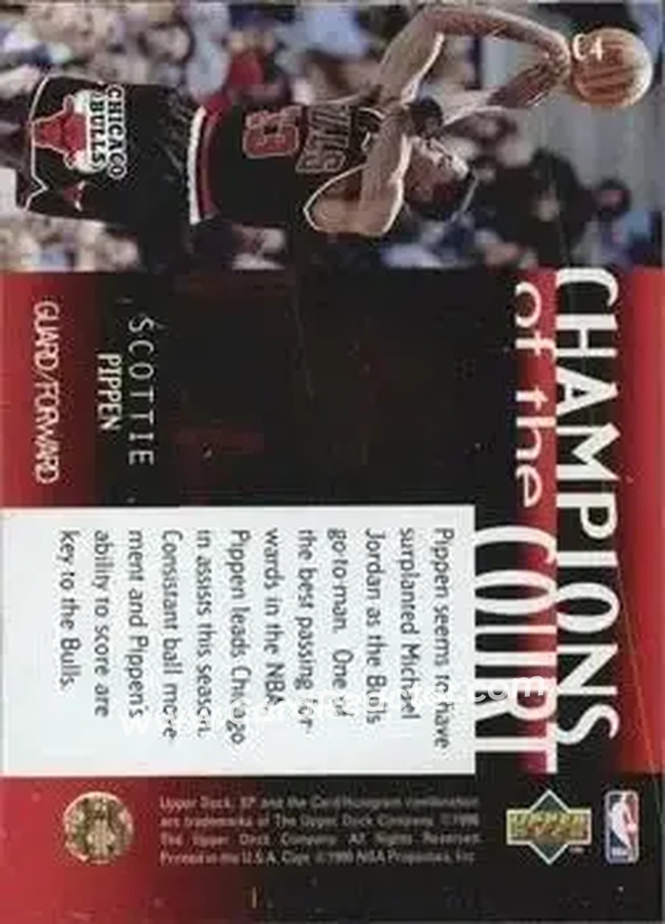 Back of Scottie Pippen