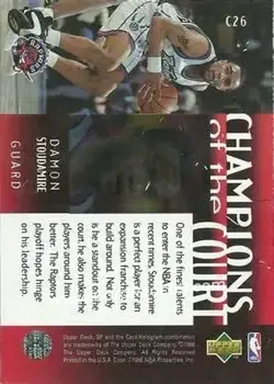Back of Damon Stoudamire
