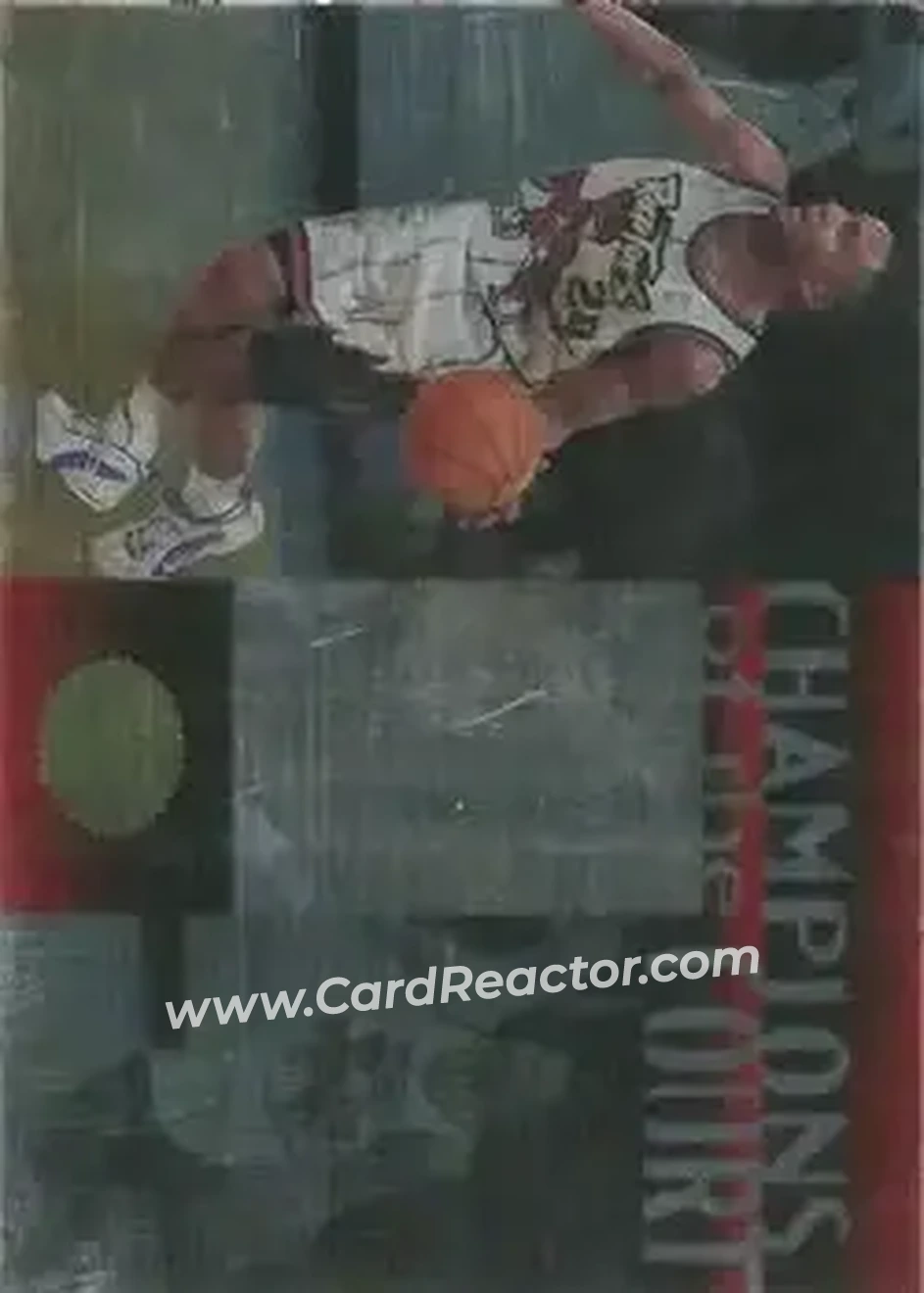 Front of Damon Stoudamire