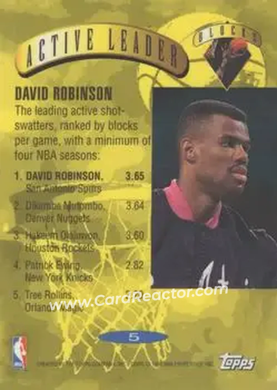 Back of David Robinson