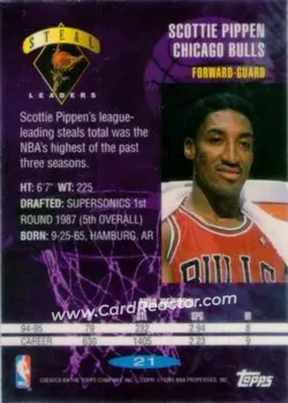 Back of Scottie Pippen