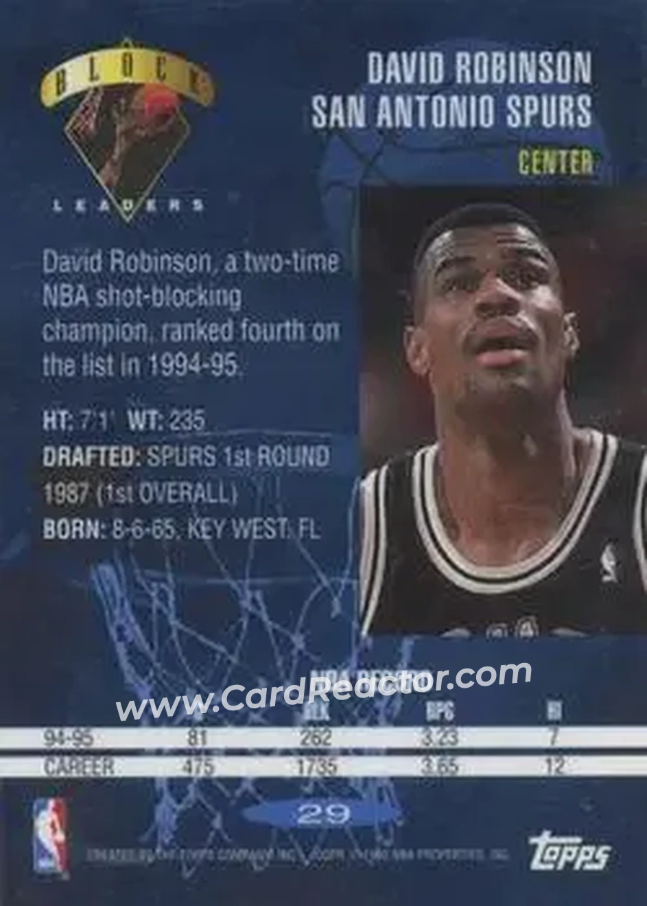 Back of David Robinson
