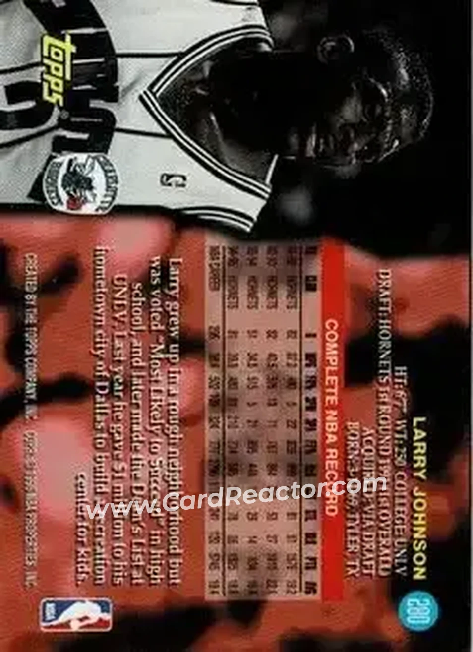 Back of Larry Johnson