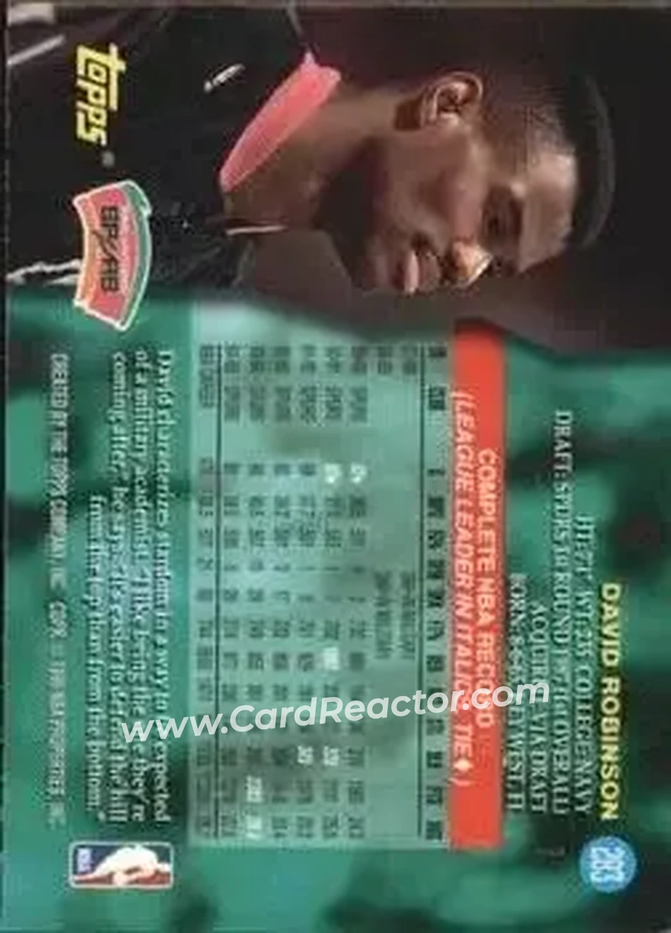 Back of David Robinson