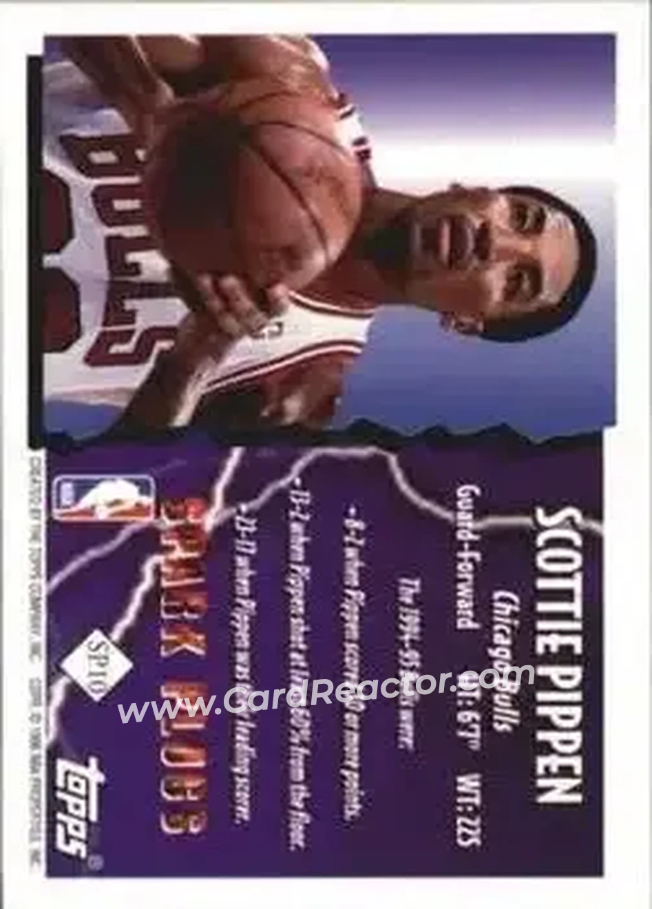 Back of Scottie Pippen