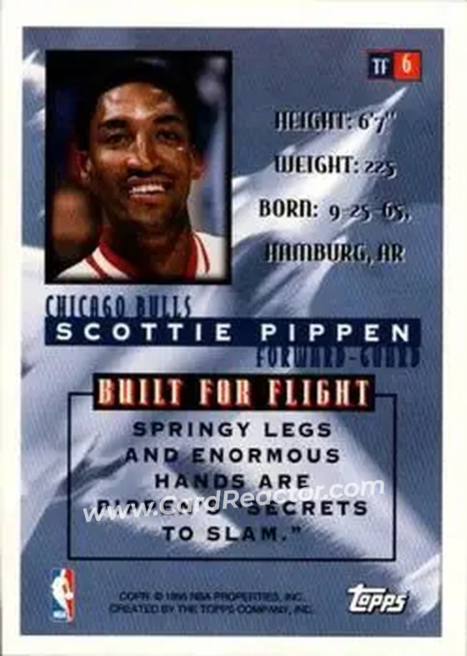 Back of Scottie Pippen