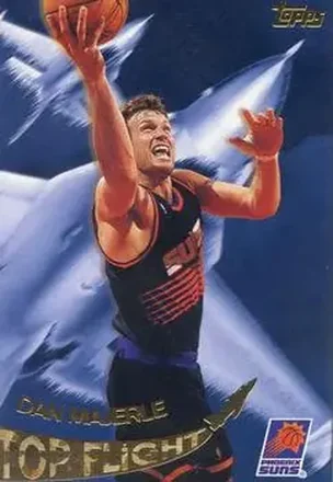 1995-96 Topps #TF13 Top Flight Dan Majerle