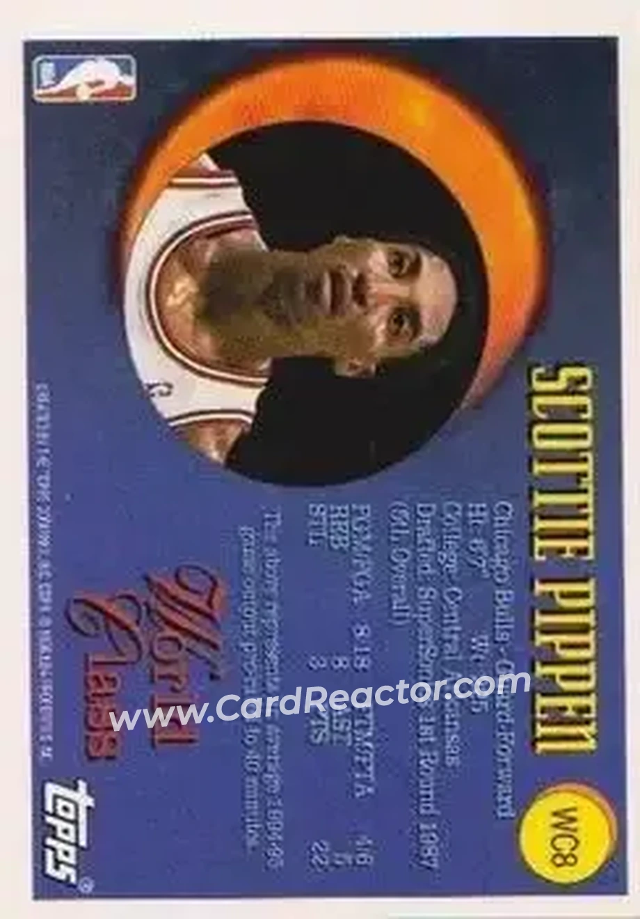 Back of Scottie Pippen