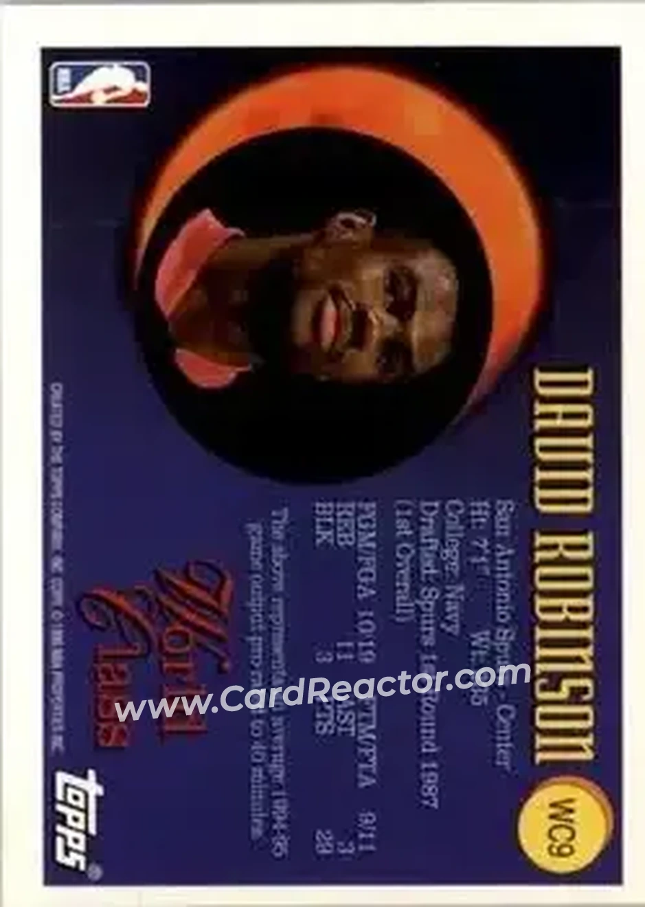 Back of David Robinson