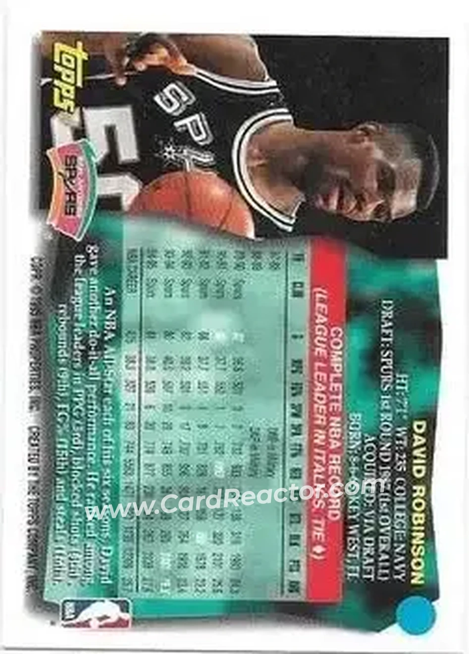 Back of David Robinson