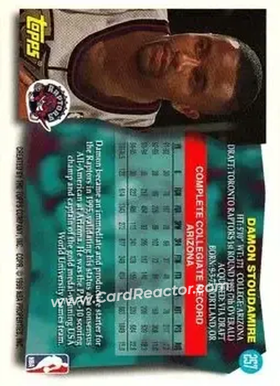 Back of Damon Stoudamire