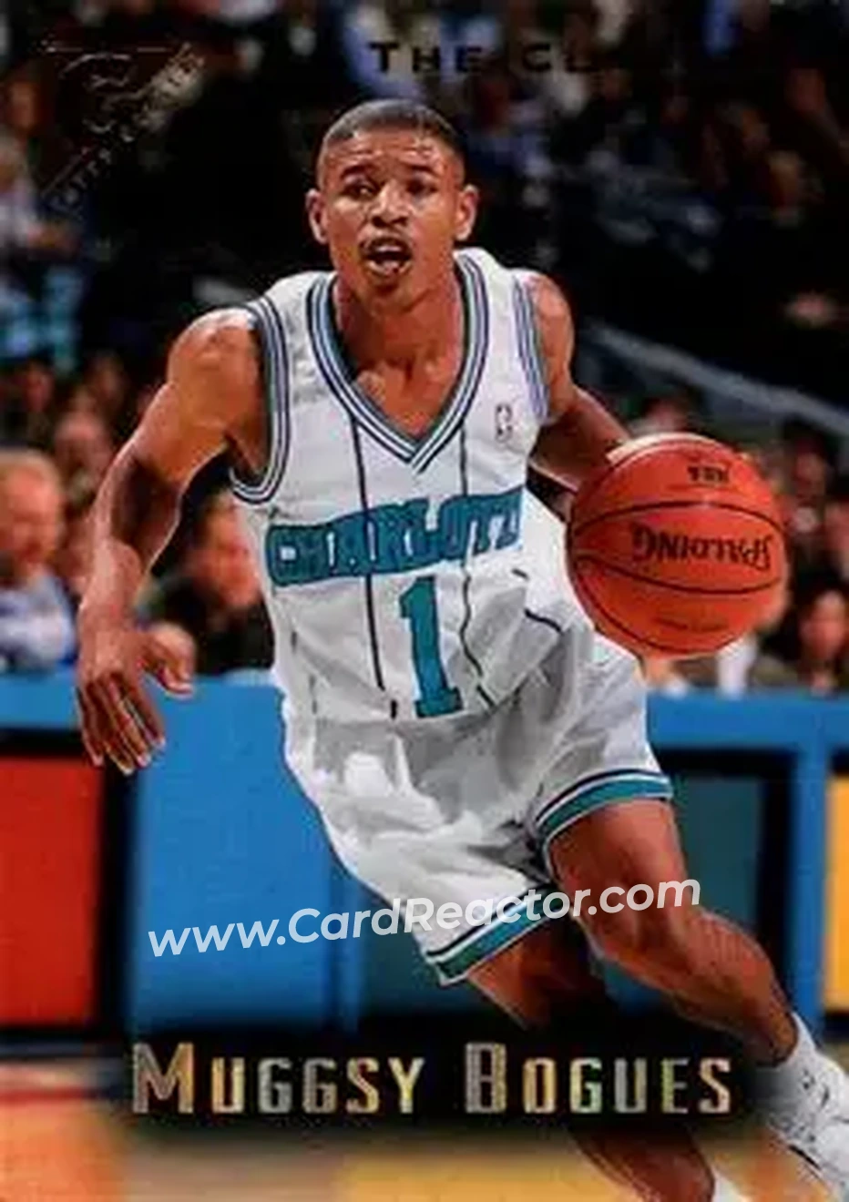 Front of Muggsy Bogues