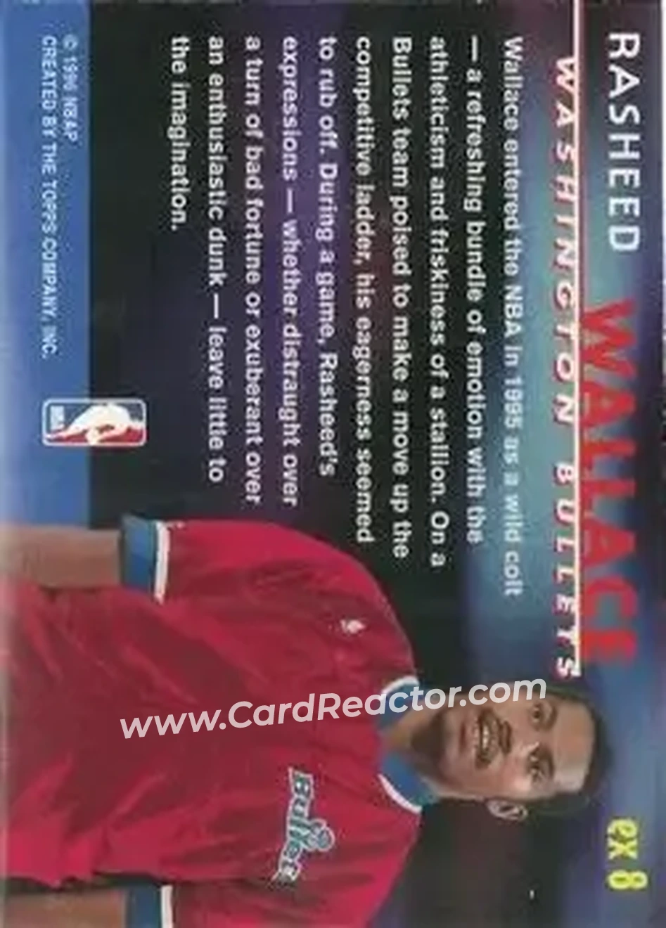 Back of Rasheed Wallace