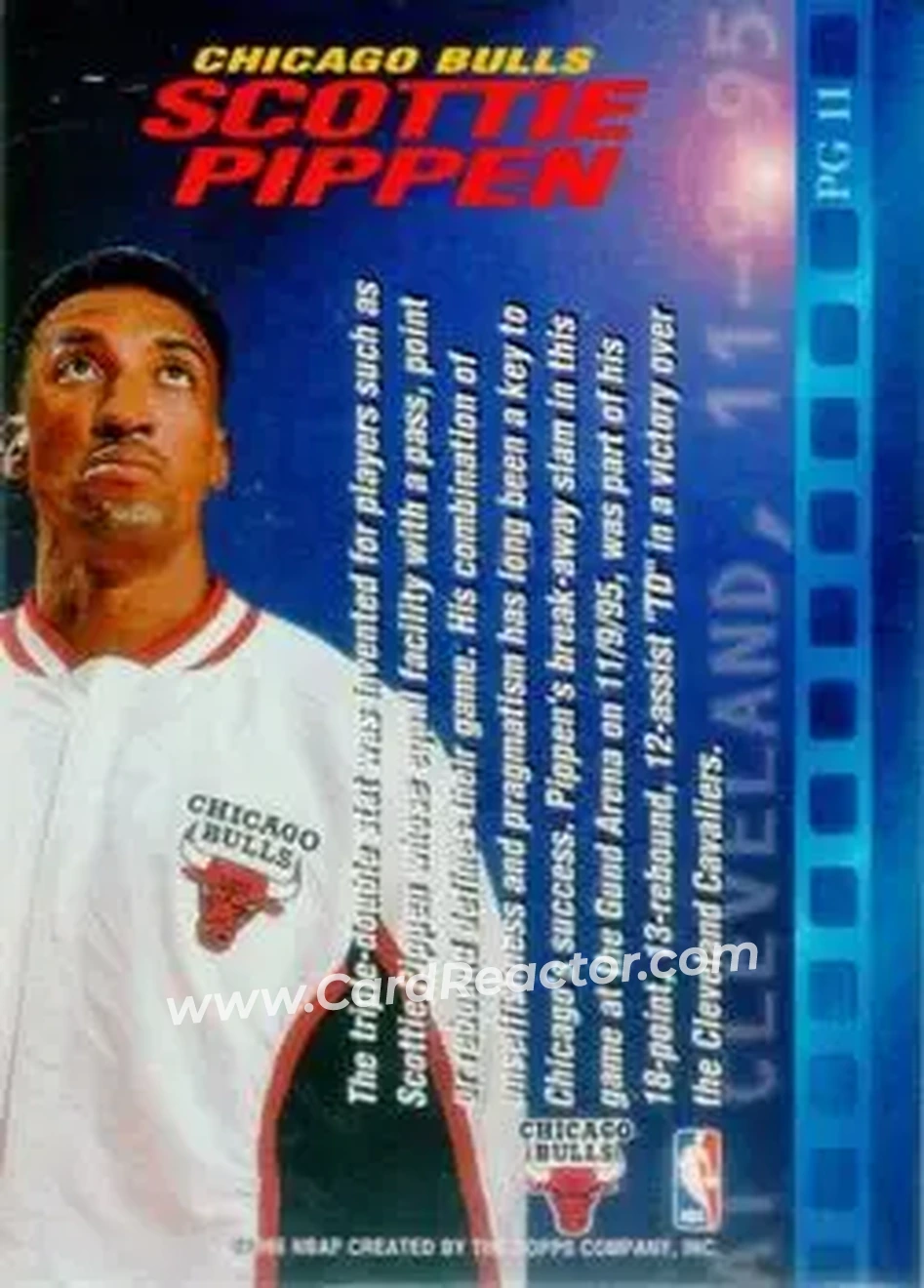 Back of Scottie Pippen