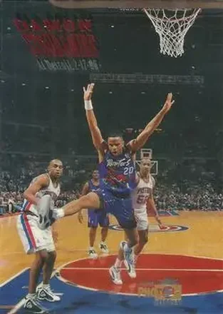1995-96 Topps Gallery #PG16 Photo Gallery Damon Stoudamire