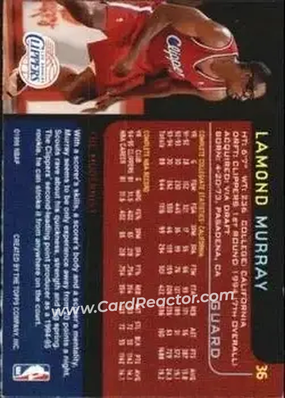 Back of Lamond Murray