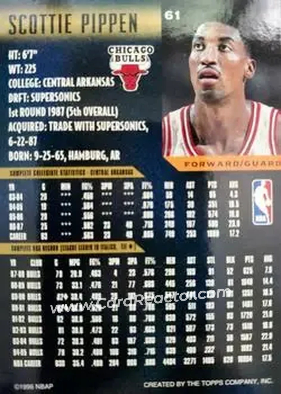 Back of Scottie Pippen