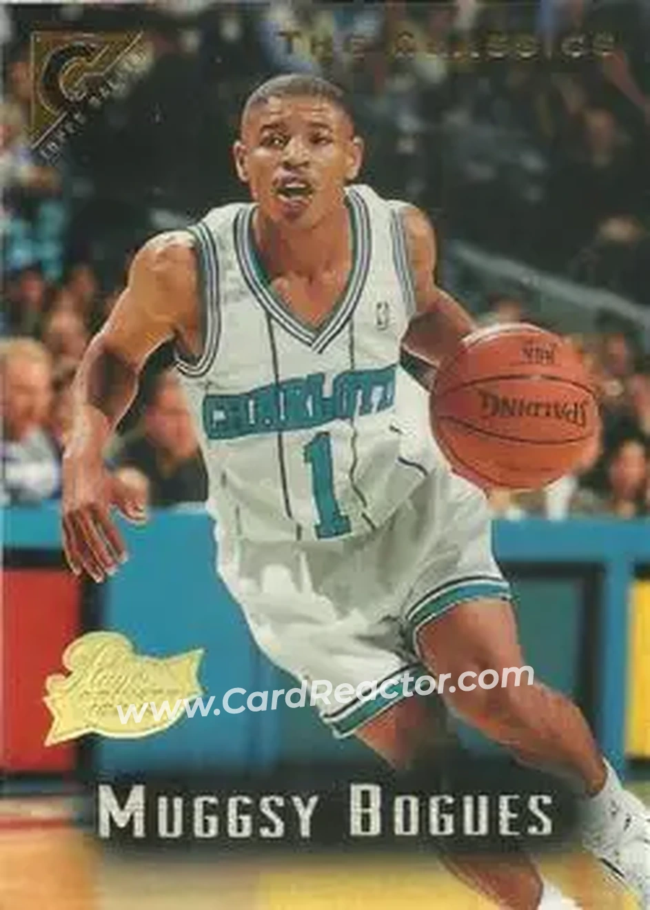 Front of Muggsy Bogues