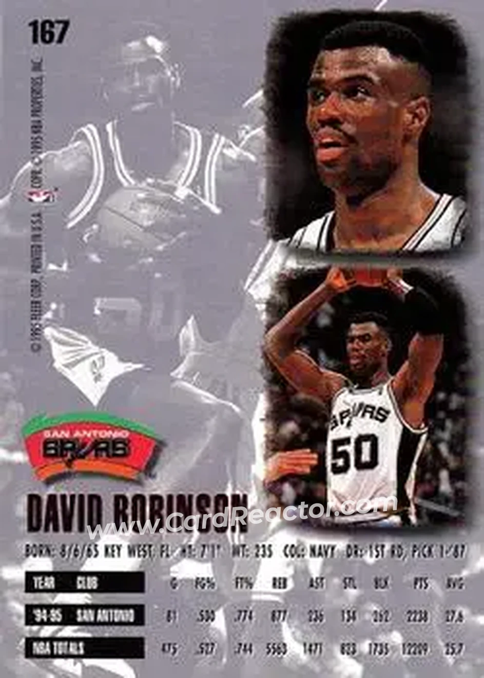 Back of David Robinson
