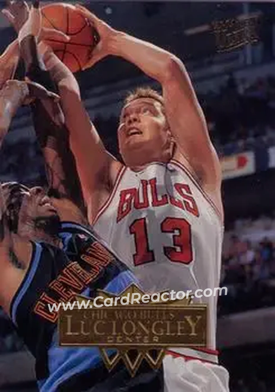 Front of Luc Longley