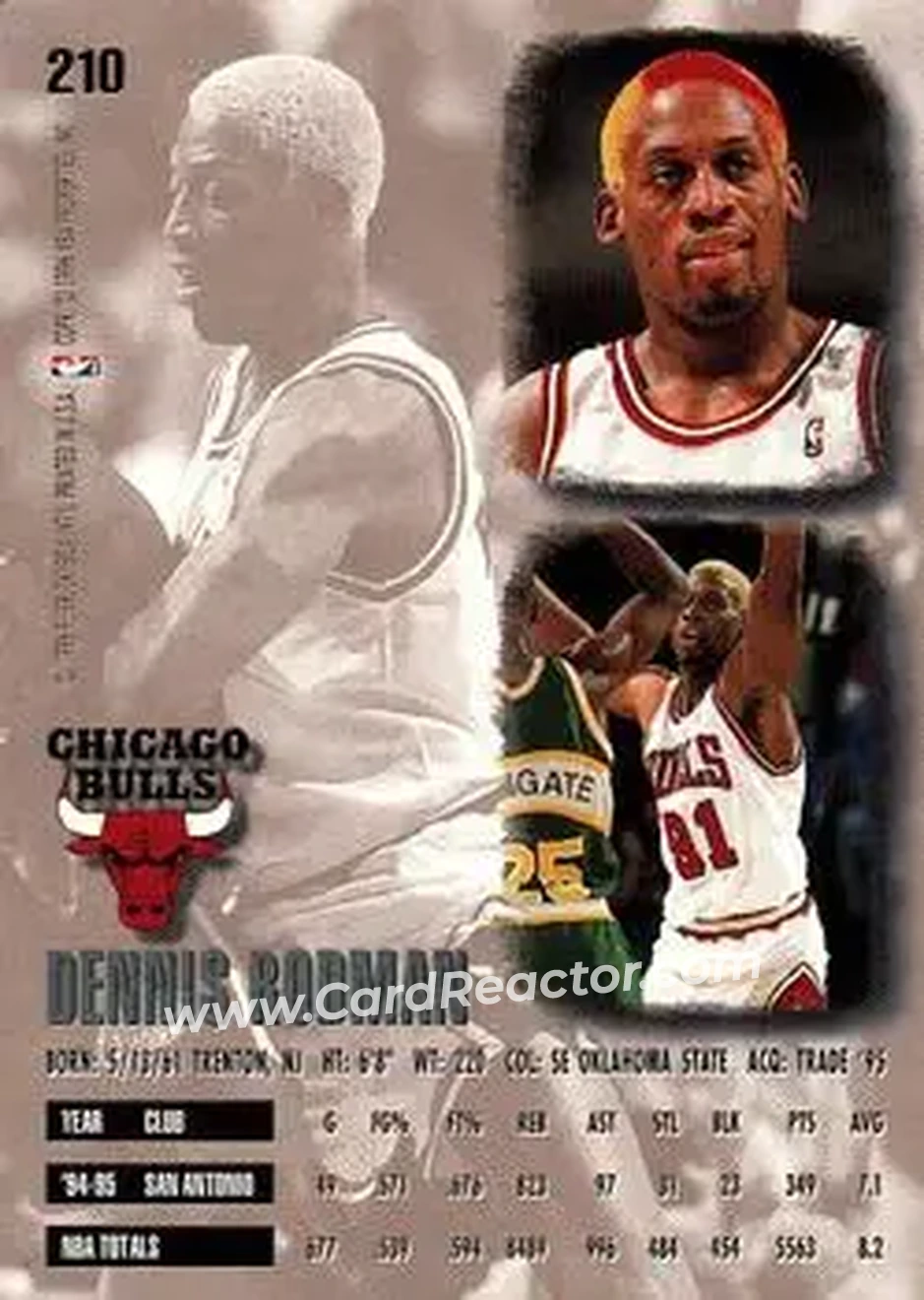 Back of Dennis Rodman